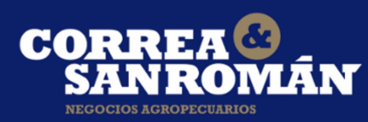 Logo Correa y San Román